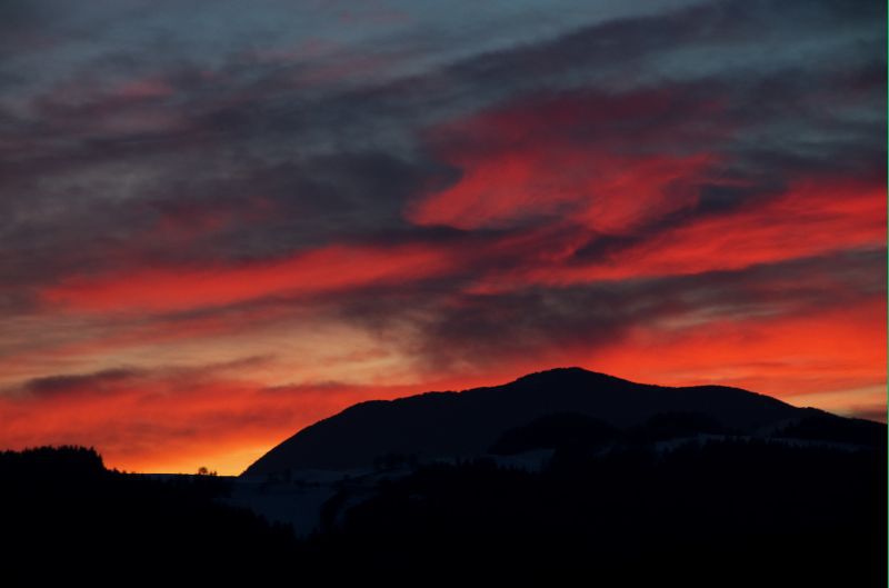 4. februar 11 - foto povečava