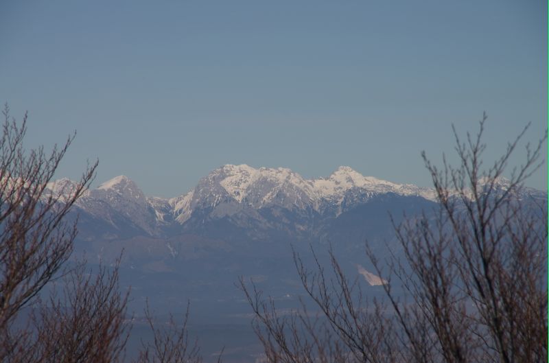 7. februar - foto povečava