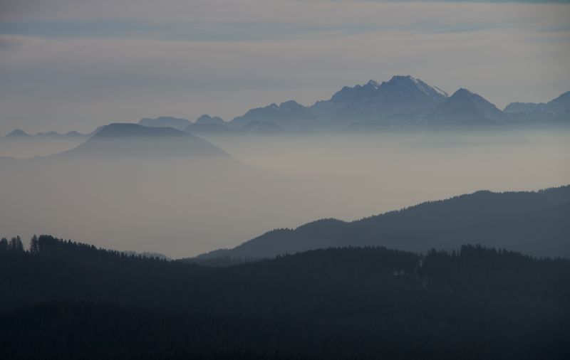 10. februar 11 - foto povečava