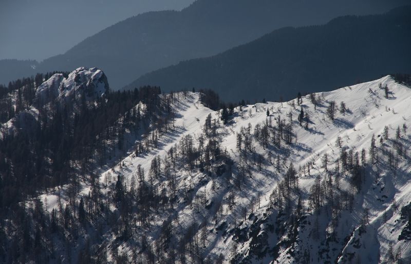 10. februar 11 - foto povečava