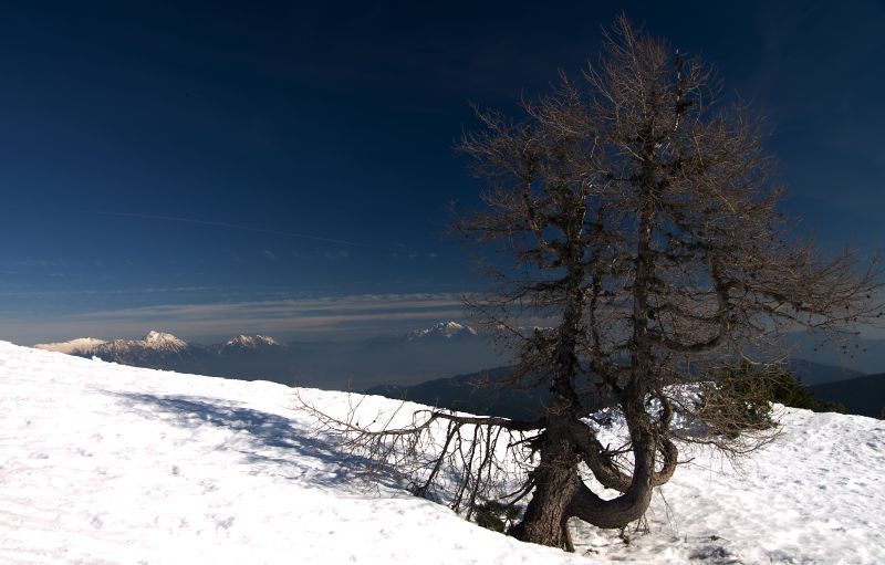 10. februar 11 - foto povečava