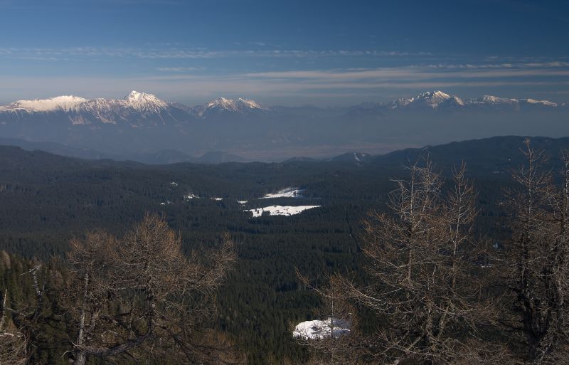 10. februar 11 - foto povečava