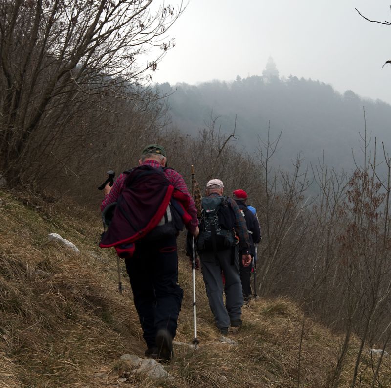 12. februar 11 - foto povečava