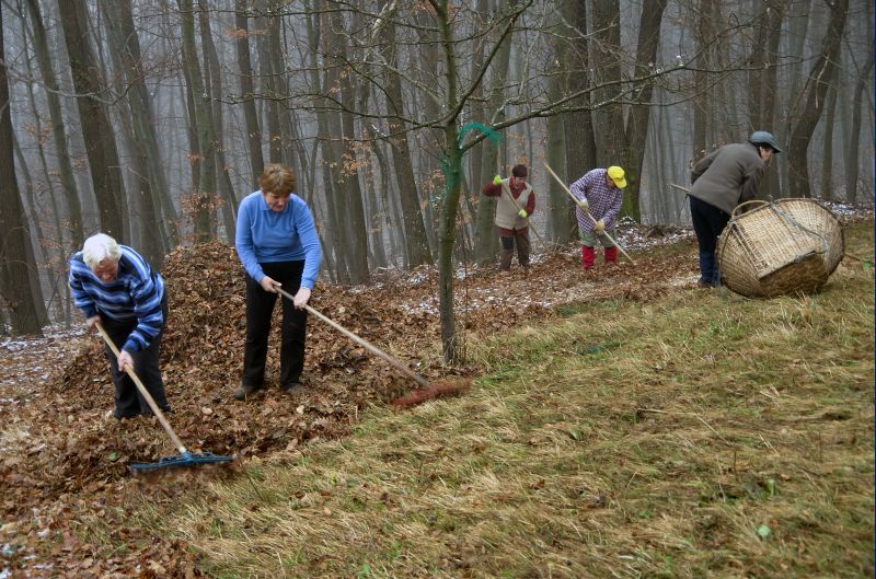 14. februar 11 - foto povečava