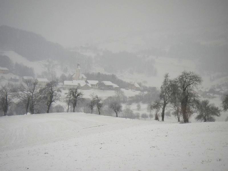 21. februar 11 - foto povečava