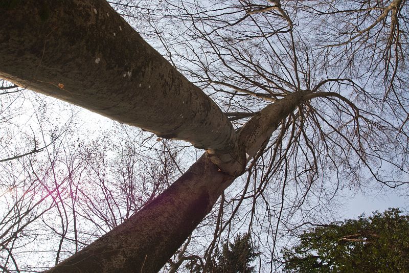 23. februar 11 - foto povečava