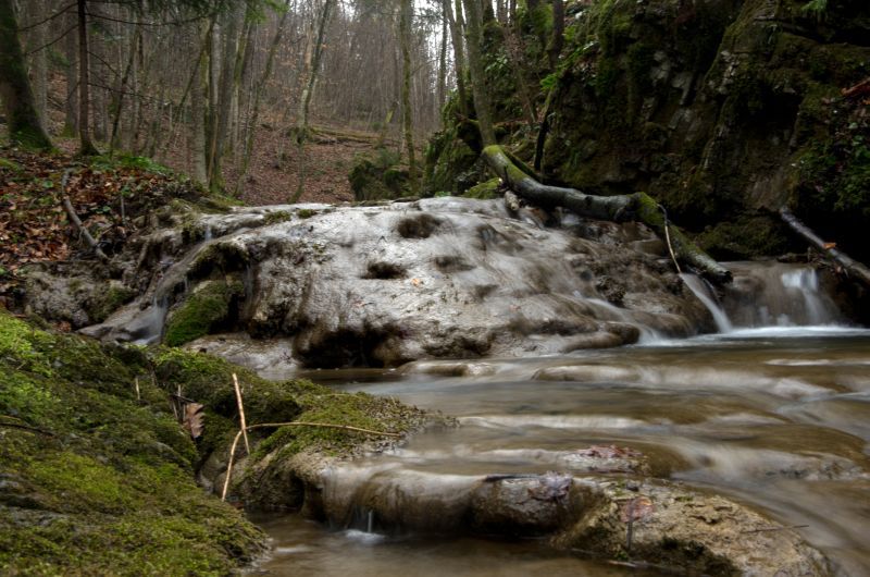 28. marec 11 - foto povečava