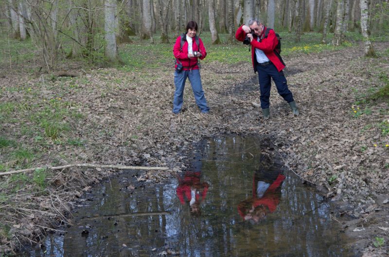 30 marec 11 - foto povečava