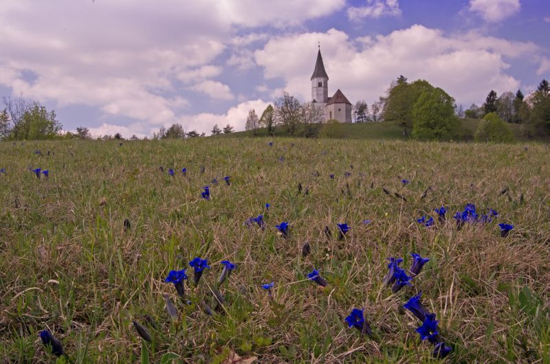 18. april 11 - foto povečava