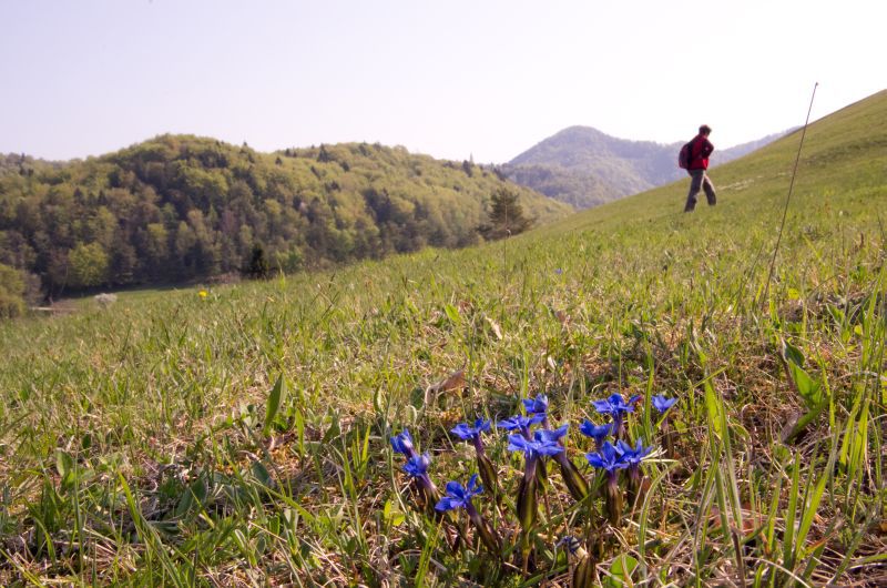 19.april 11 - foto povečava