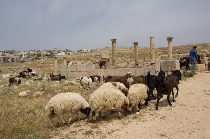 2. maj 11 - Jordanija 7. ( zadnji ) dan - foto povečava