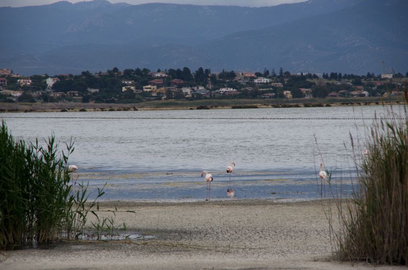 19. maj 11 - foto povečava