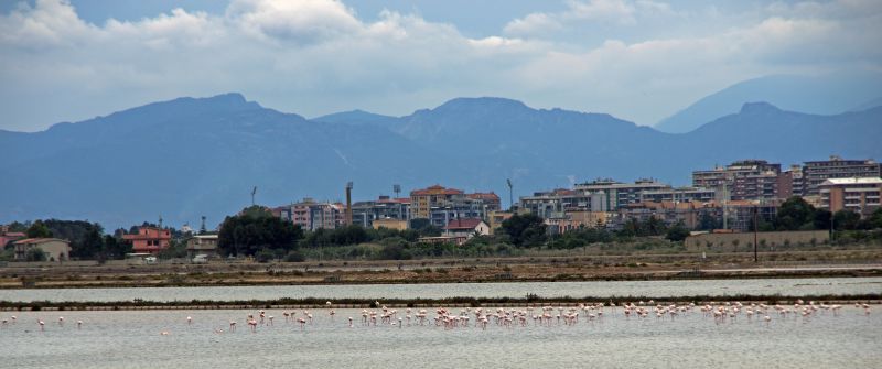 19. maj 11 - foto povečava