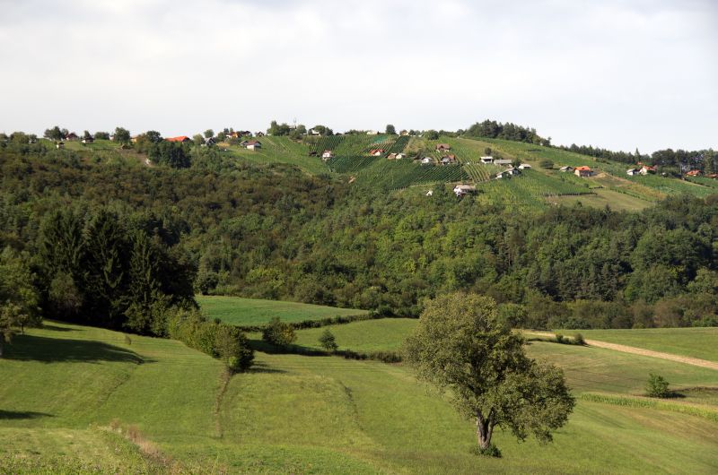 7. september 11 - foto povečava