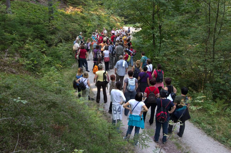 27. september 11 - foto povečava