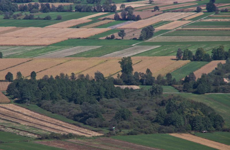 29. september 11 - foto povečava