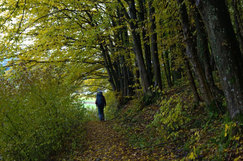 27. oktober 11 - foto povečava