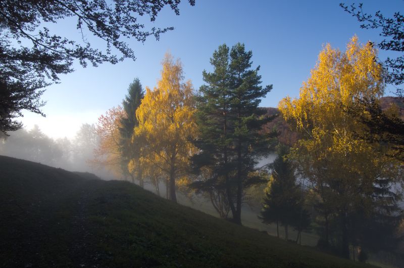 2. november 11 - foto povečava