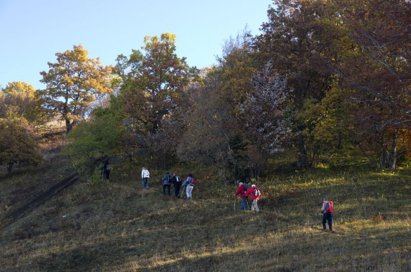 2. november 11 - foto povečava