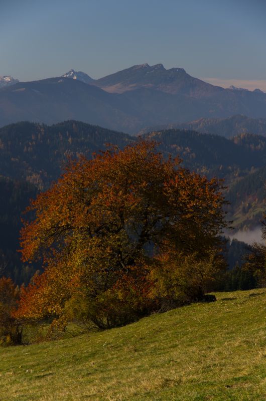 3. november 11 - foto povečava