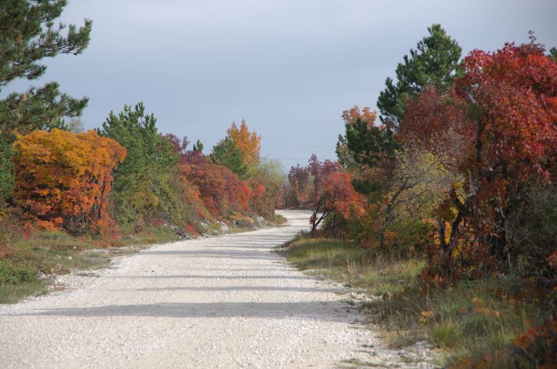 7. november 11 - foto povečava