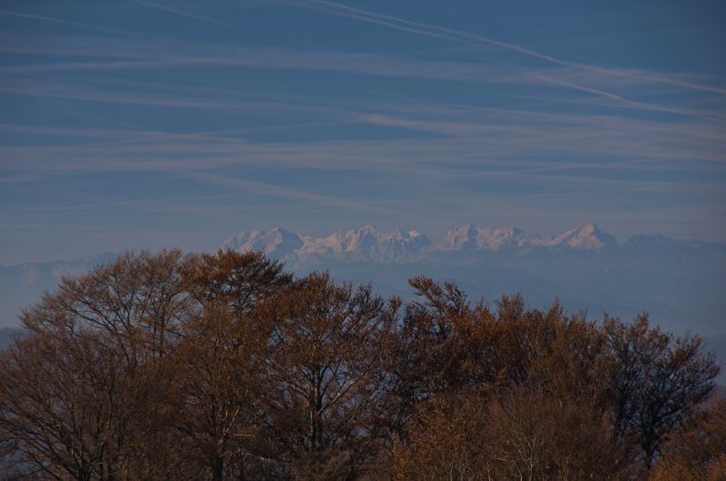 18. november 11 - foto povečava