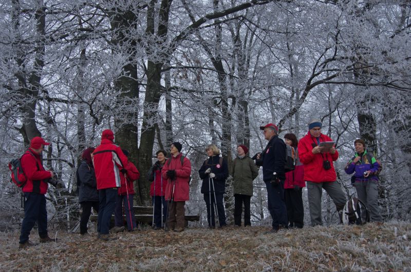 23 november 11 - foto povečava