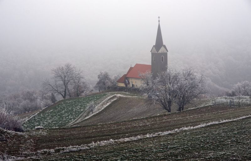 23 november 11 - foto povečava