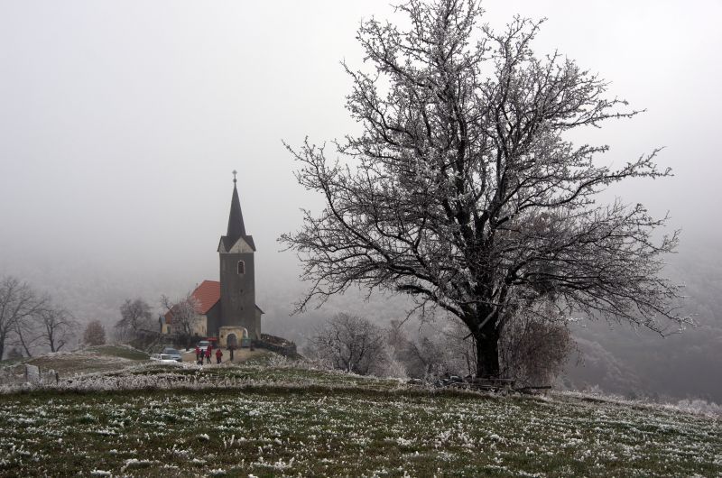 23 november 11 - foto povečava