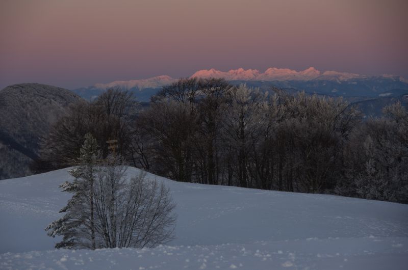 20. december 11 - foto povečava