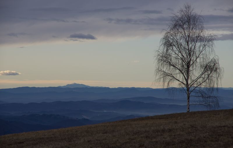 8. januar 12 - foto povečava