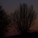 26. januar 12