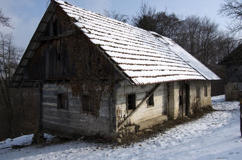 30. januar 12 - foto povečava