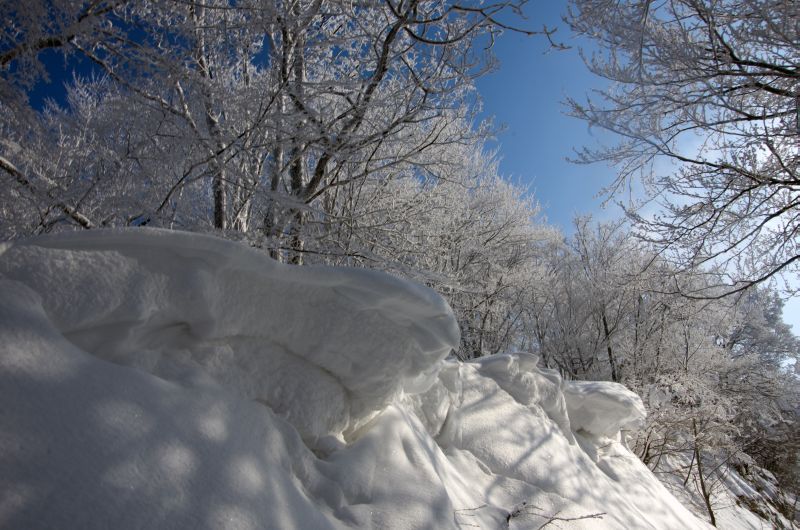 13. februar 12 - foto povečava