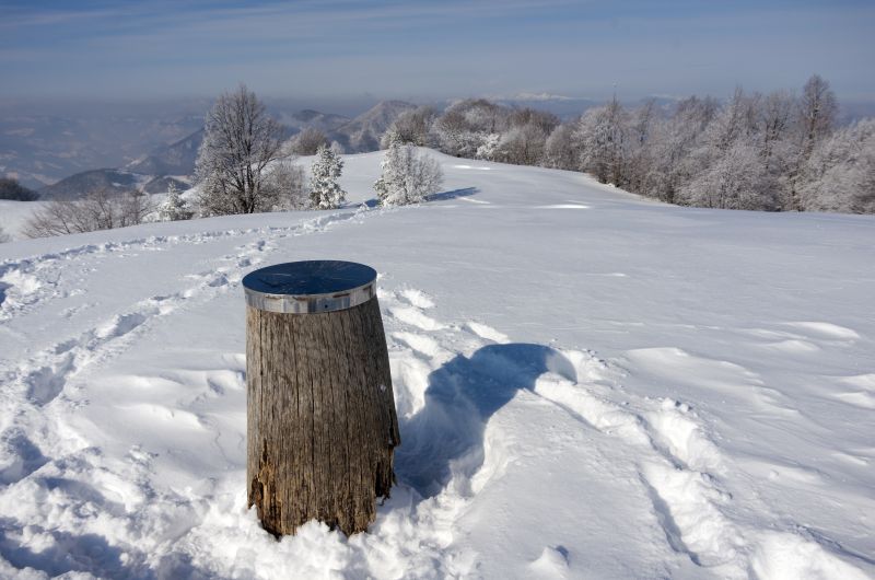 13. februar 12 - foto povečava