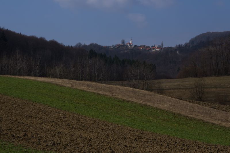 14. marec 12 - foto povečava