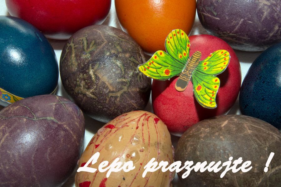 7. april voščilo - foto povečava
