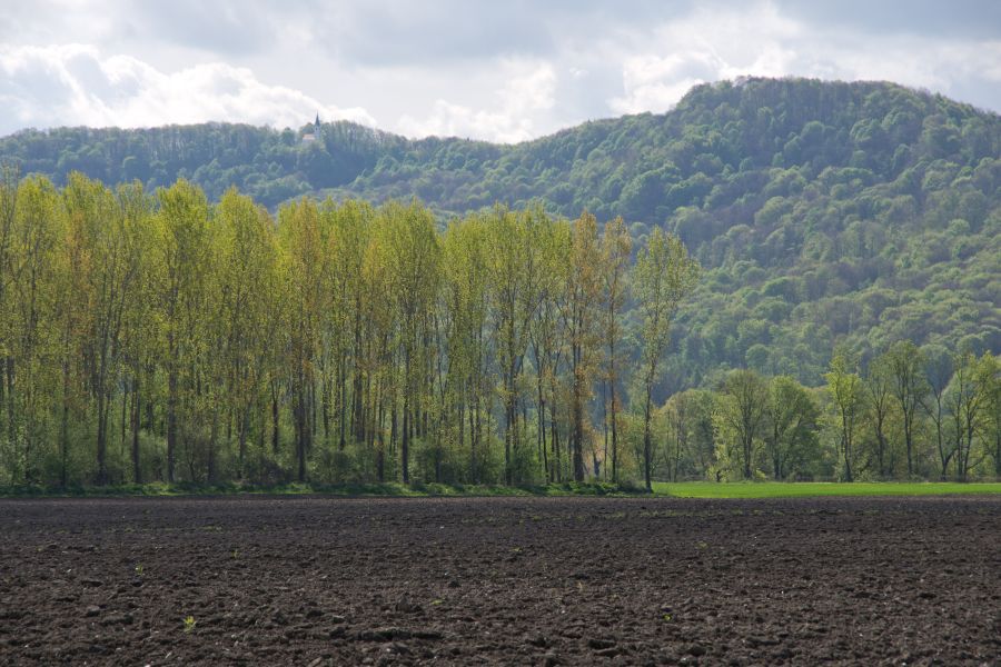 19. april 12 - foto povečava