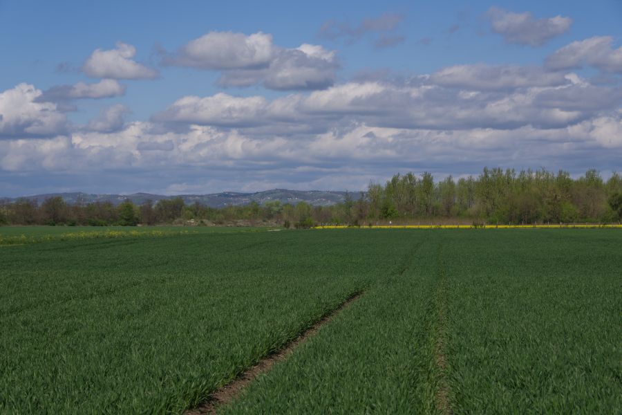 19. april 12 - foto povečava