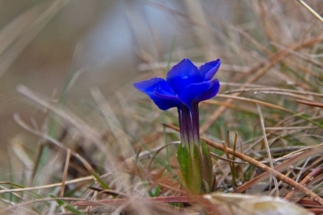 23. april 12 - foto