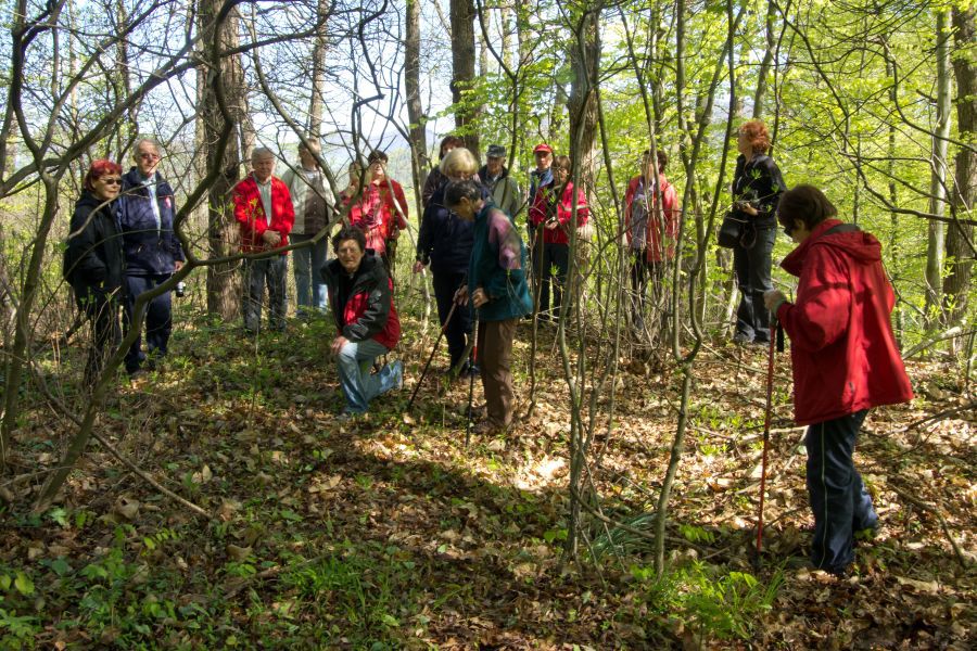 25. april 12 - foto povečava