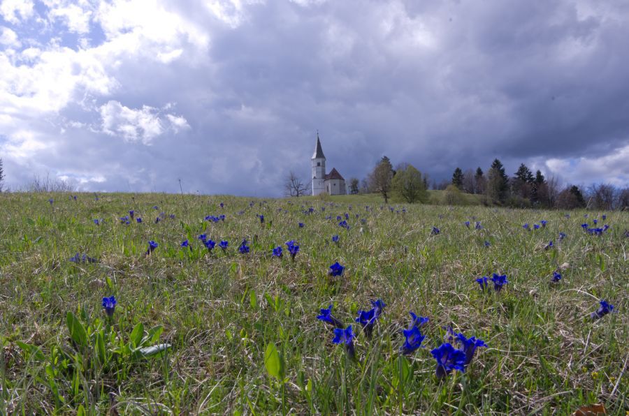 25. april 12 - foto povečava