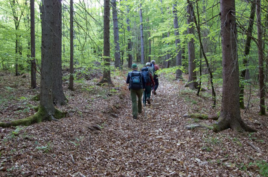 3. maj 12 - foto povečava