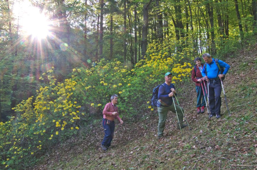 3. maj 12 - foto povečava