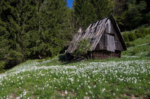 10 maj 12 - foto