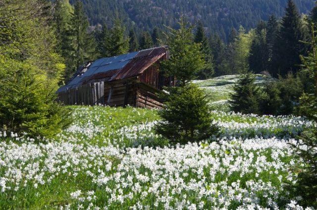 10 maj 12 - foto