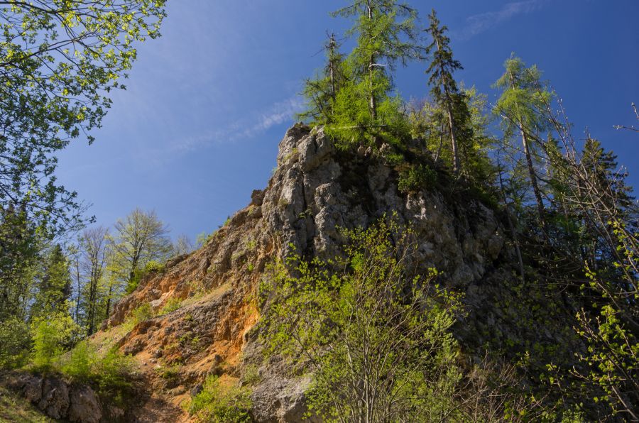 10 maj 12 - foto povečava