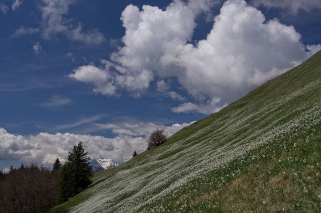 10 maj 12 - foto