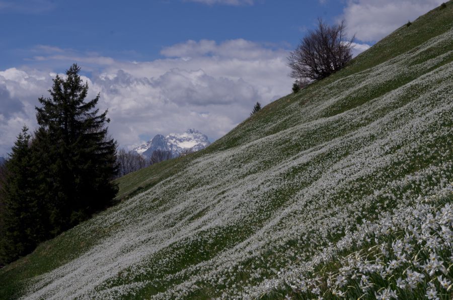 10 maj 12 - foto povečava