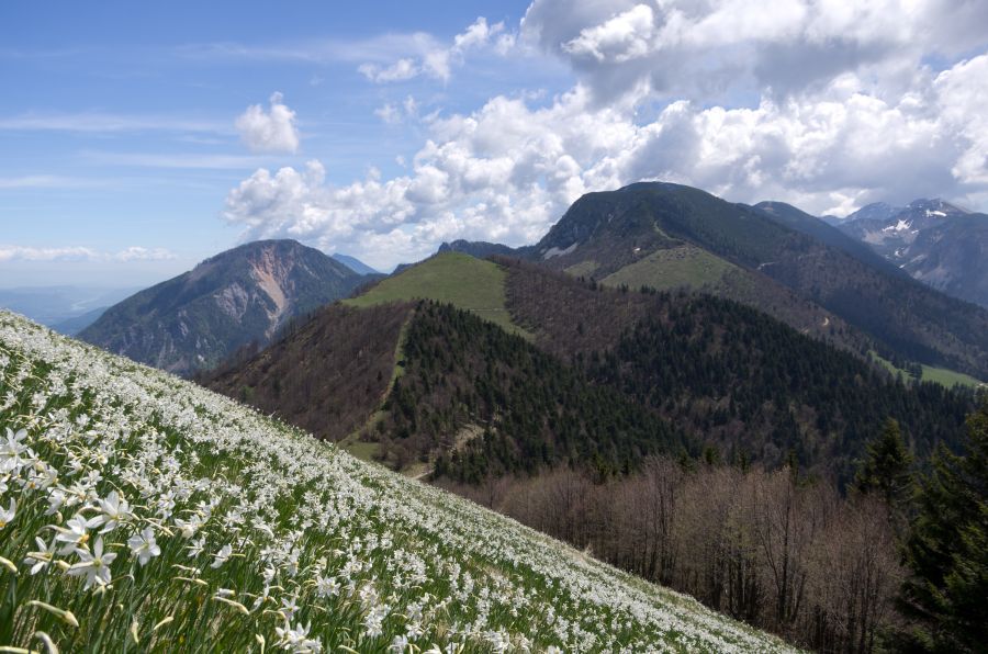 10 maj 12 - foto povečava